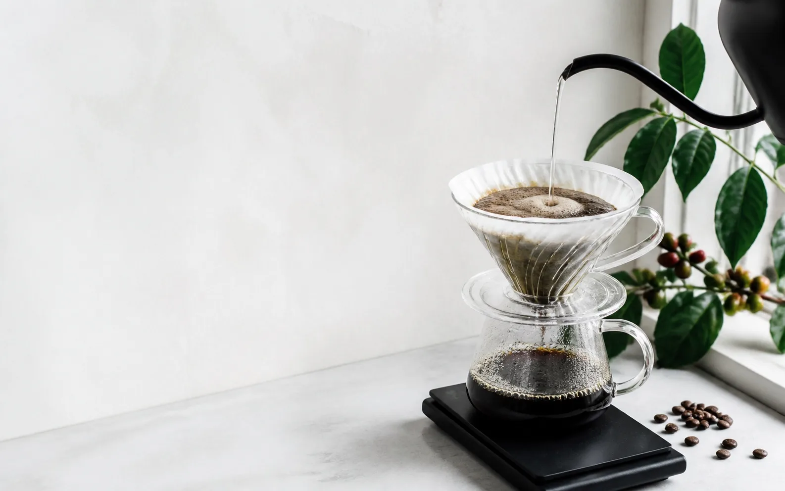 Préparation d’un café filtre dans un dripper en verre